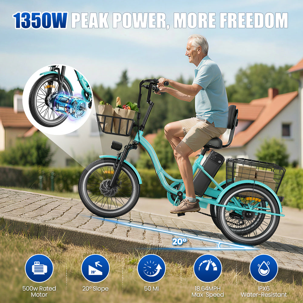 Flycity Electric Tricycle for Adults, Peak 1200W Electric Trike with 48V 15Ah Removable lithium battery, 20" 7 Speeds 3 Wheels Electric Bikes, Black
